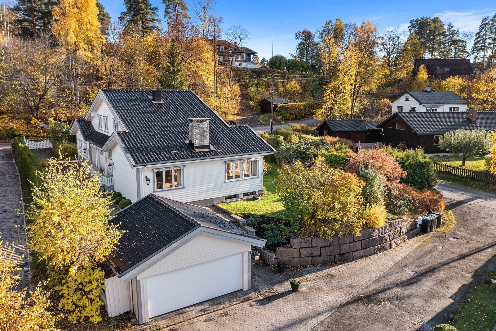 Dobbel garasje. Galleribilde