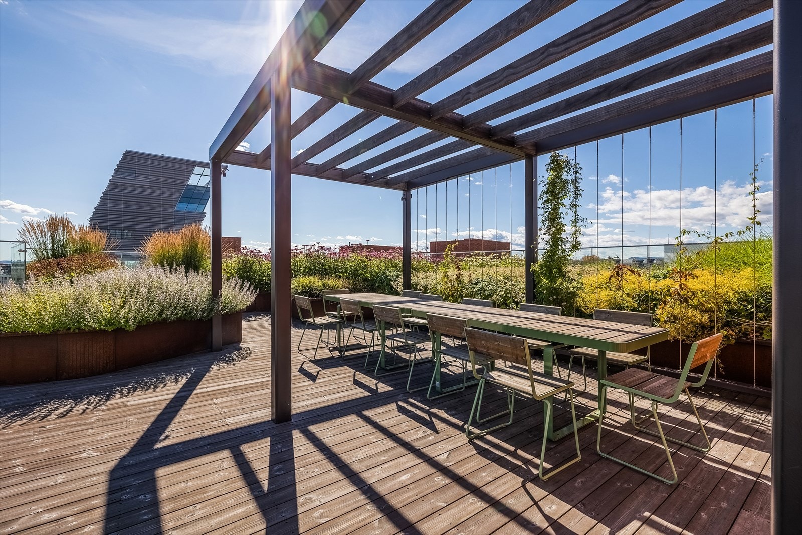 Felles takterrasse med panoramautsikt. Galleribilde