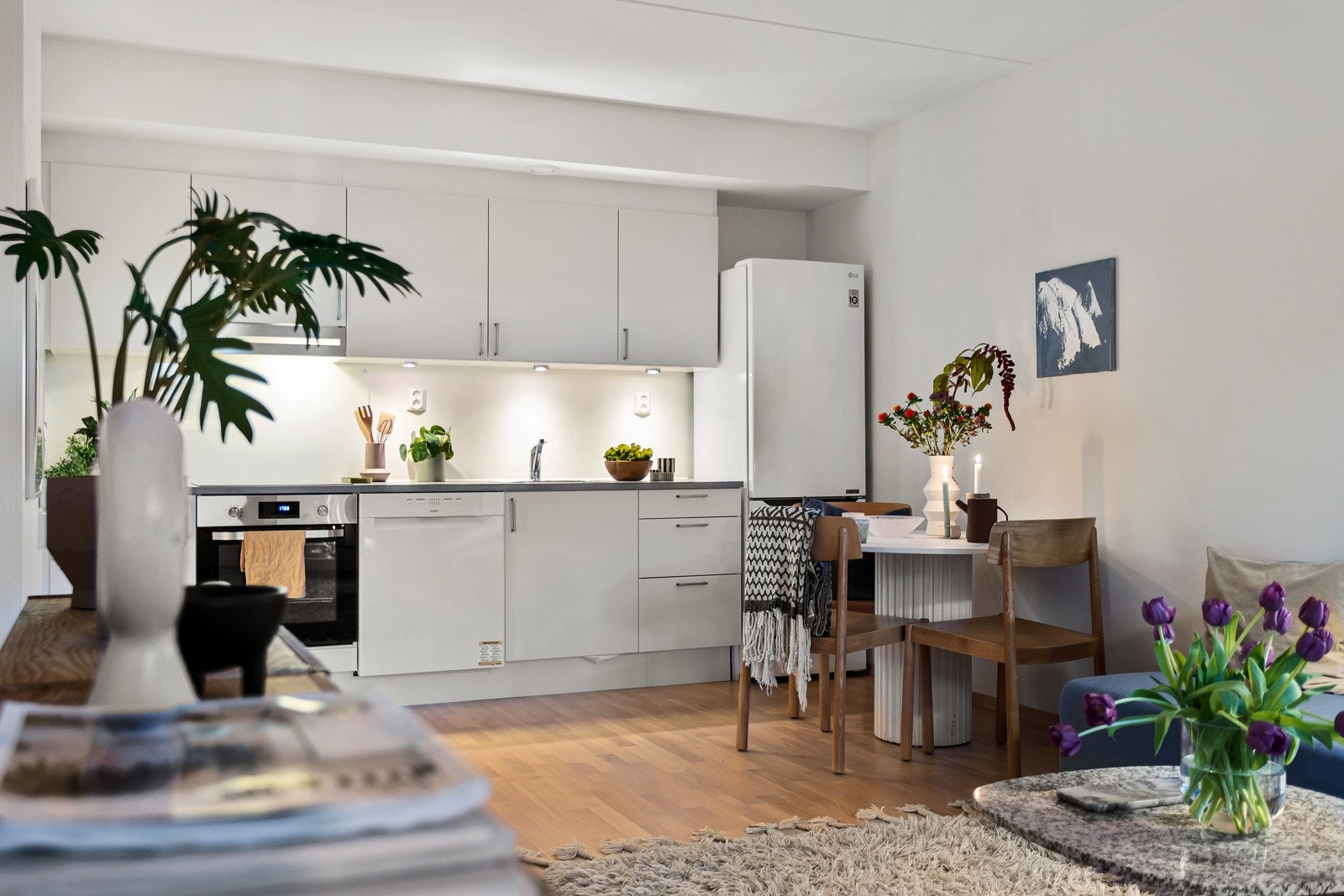 Delikat kjøkken med opplegg for oppvaskmaskin, integrert induksjonstopp og stekeovn. Galleribilde