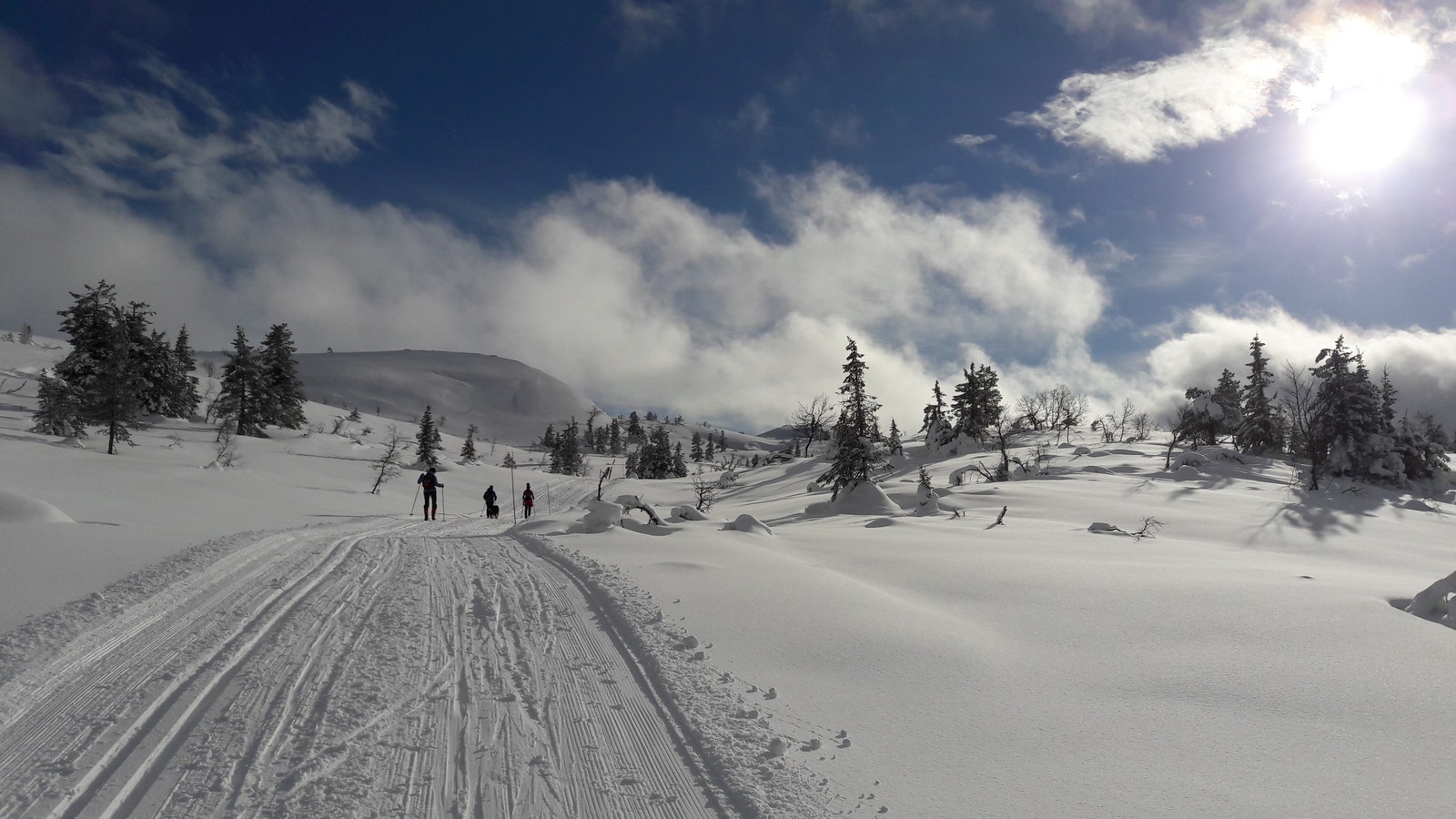 Om vinteren kan ein gå skiturar i 25 km. preparerte løyper Galleribilde