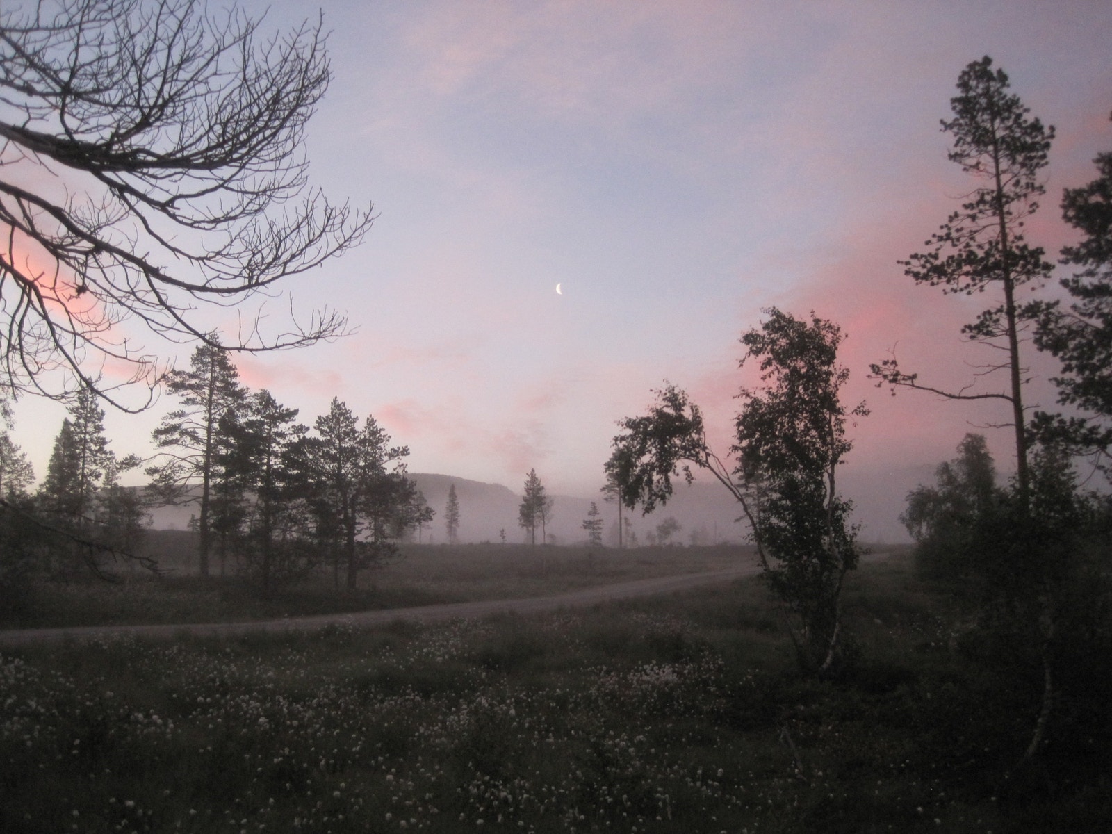 Solliåsen i skumring Galleribilde