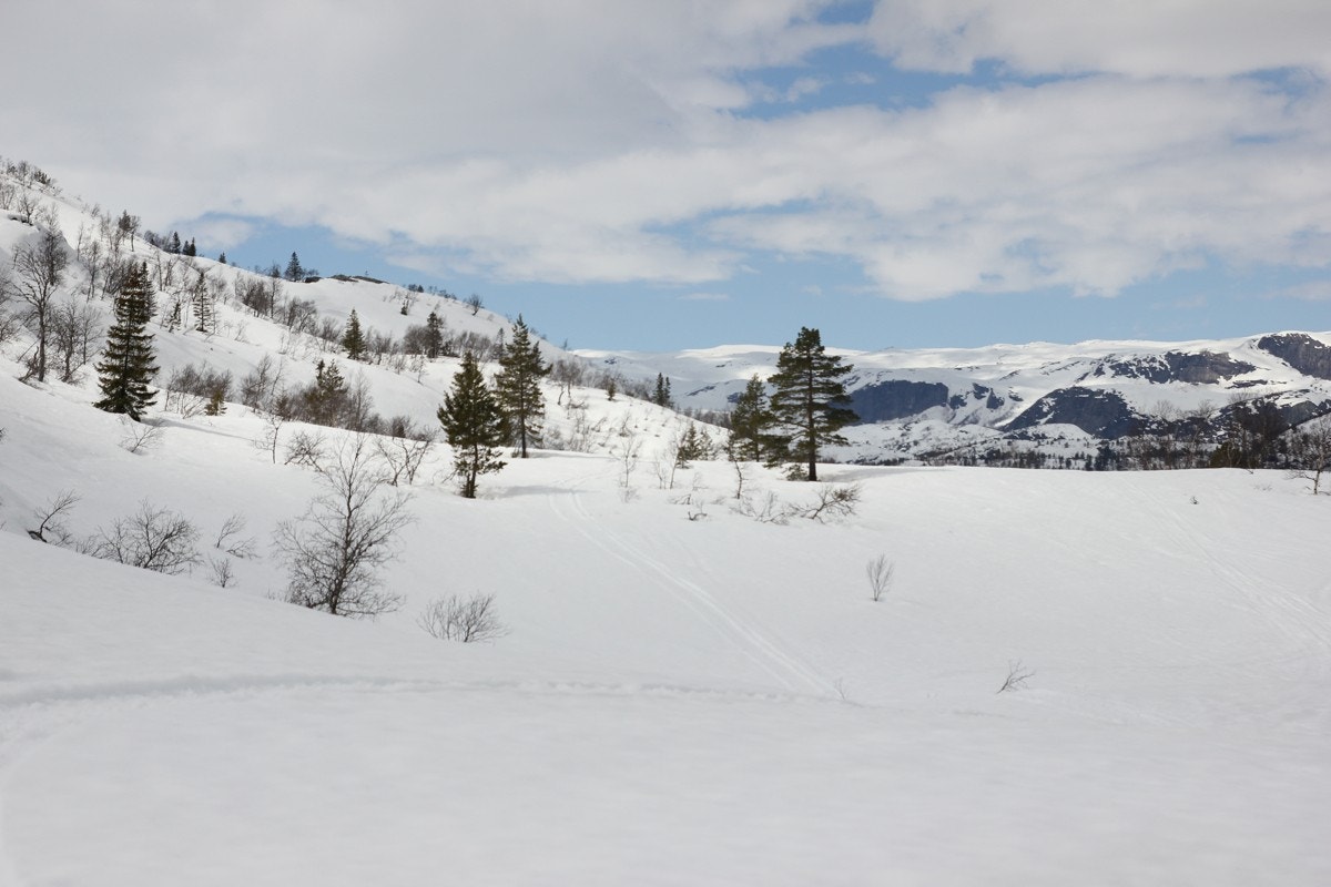 IMG_2040nfjell Galleribilde