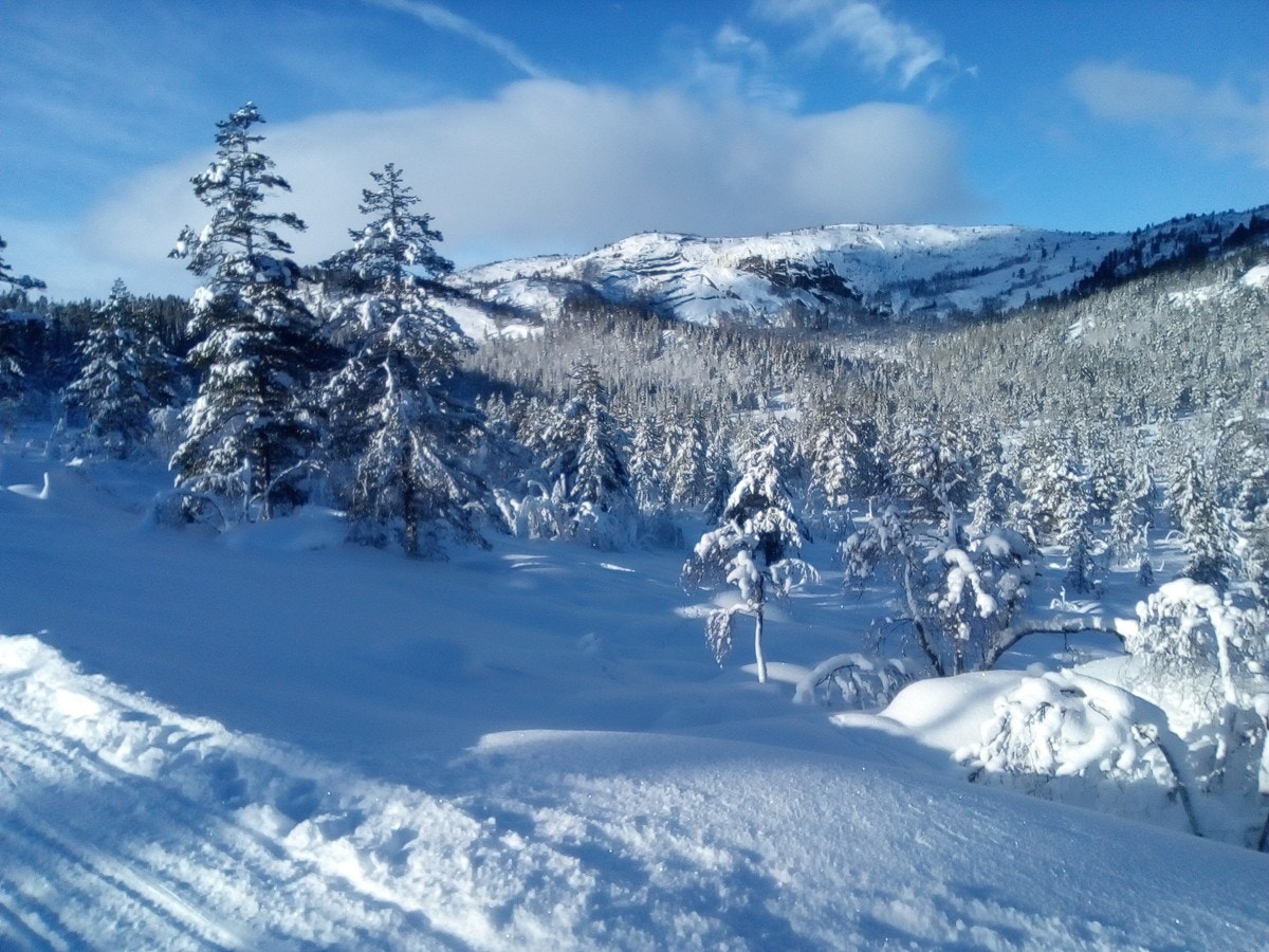 image0000001001 Galleribilde