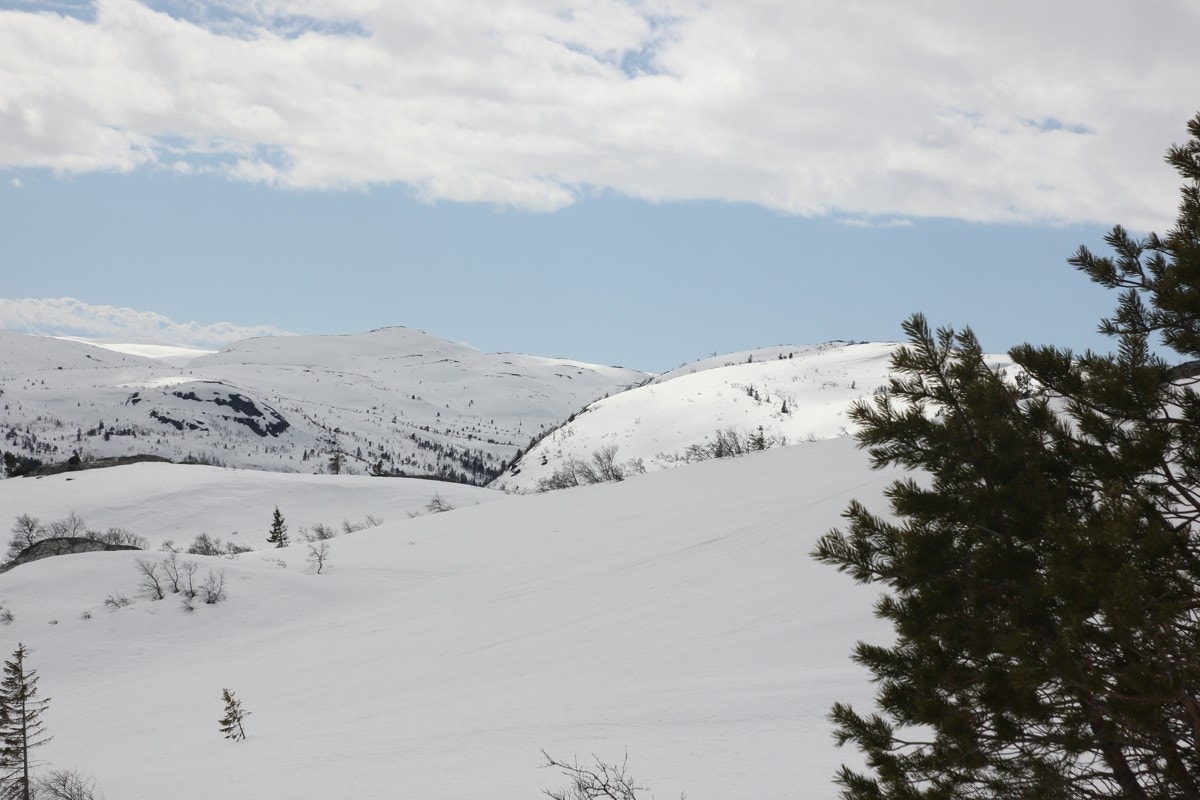 IMG_2045fjell Galleribilde