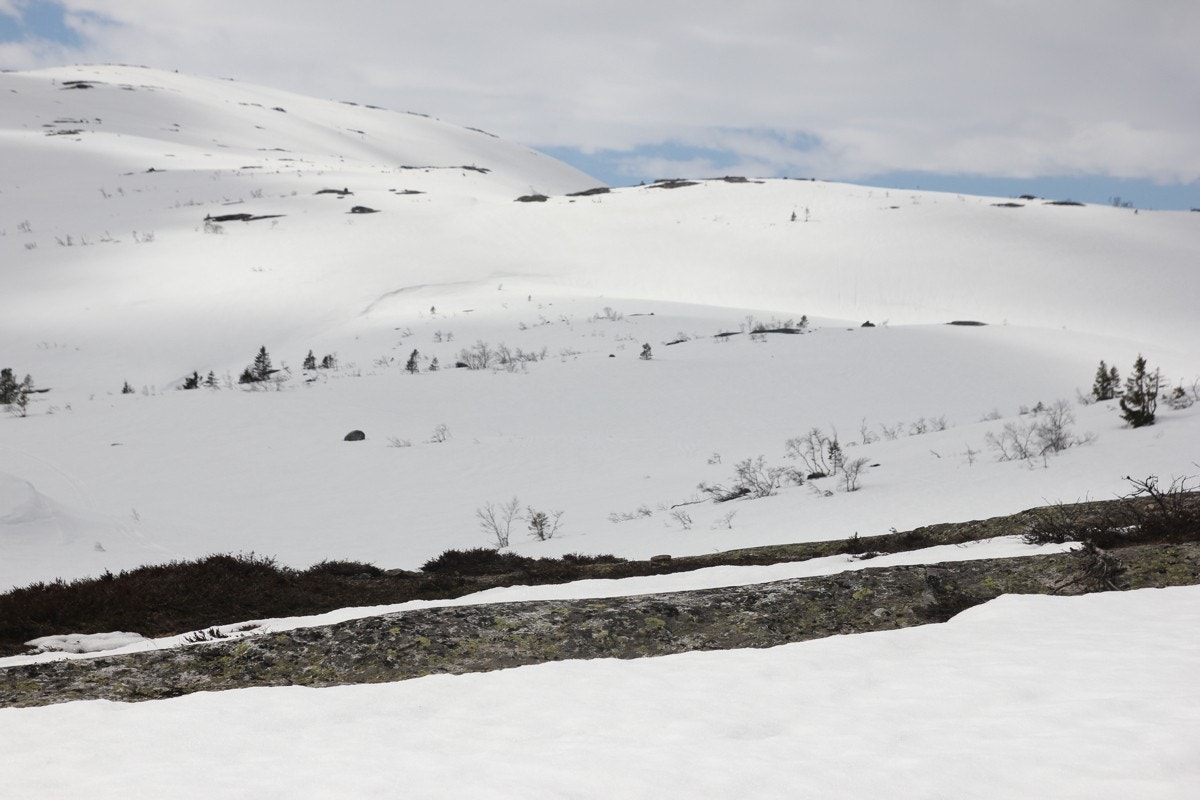 IMG_2047nfjell Galleribilde