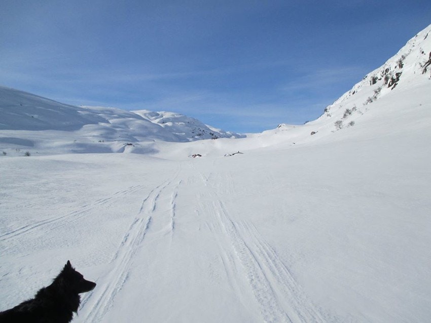 15250953_1369435209736387_7689955936510642159_oturområdet Galleribilde