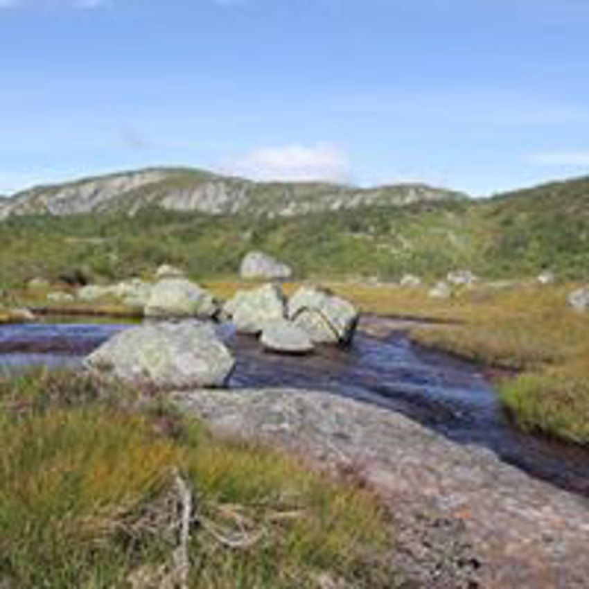 29665443_10155498611939021_132510338050752207_oNyestøyl området Galleribilde