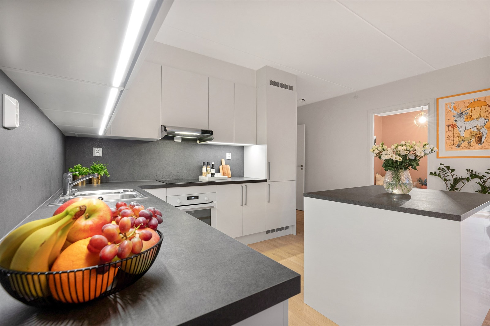 Det er integrerte hvitevarer som oppvaskmaskin, komfyr, nedfelt induksjonstopp, samt kjøleskap og fryser. Galleribilde