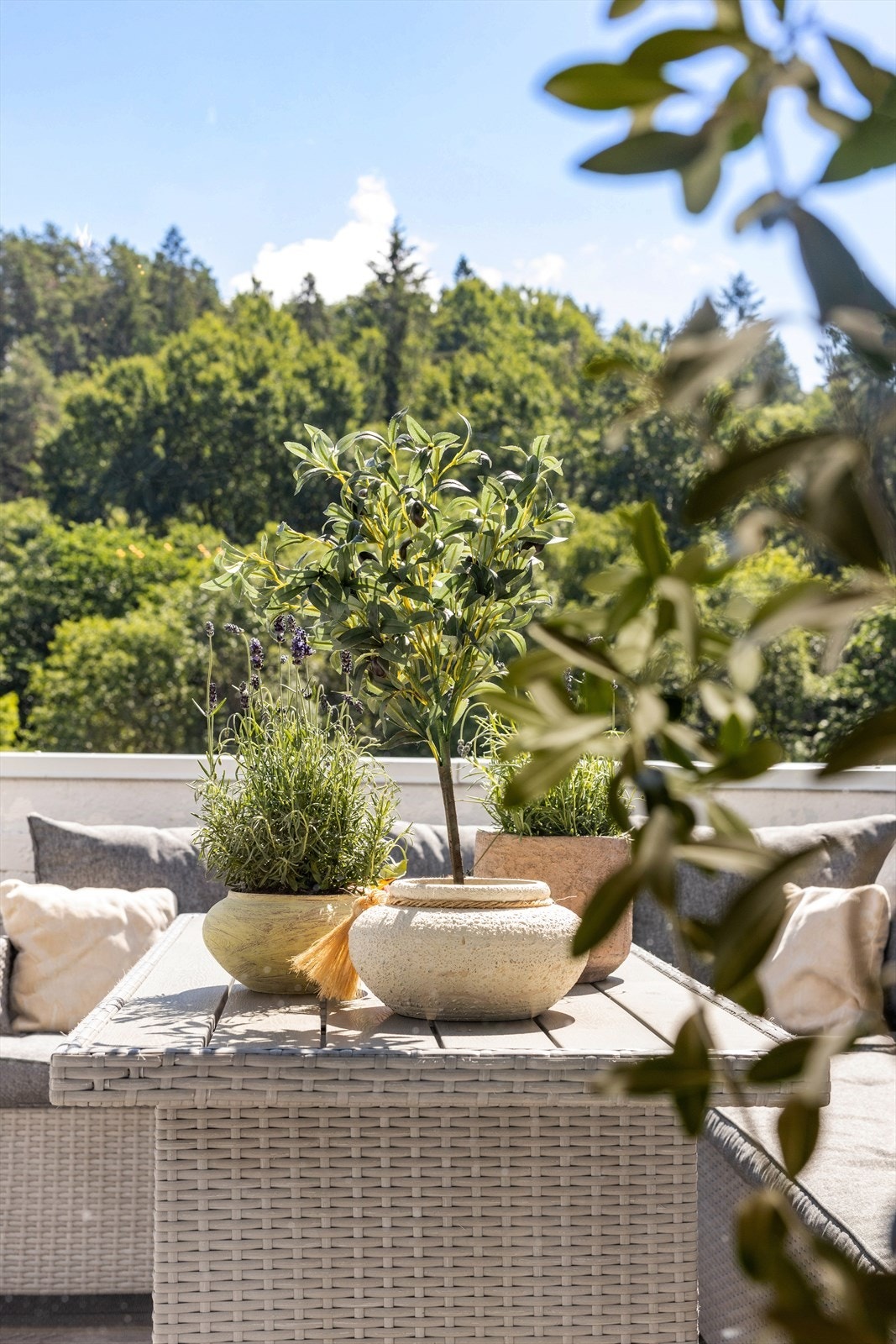 Her vil du trives! Galleribilde