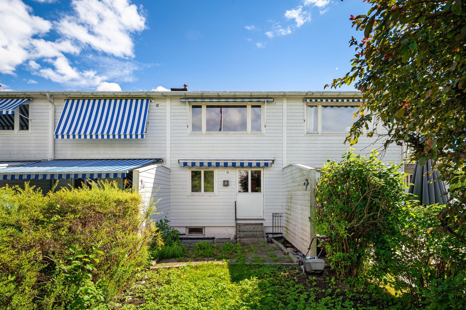 Liten have Galleribilde