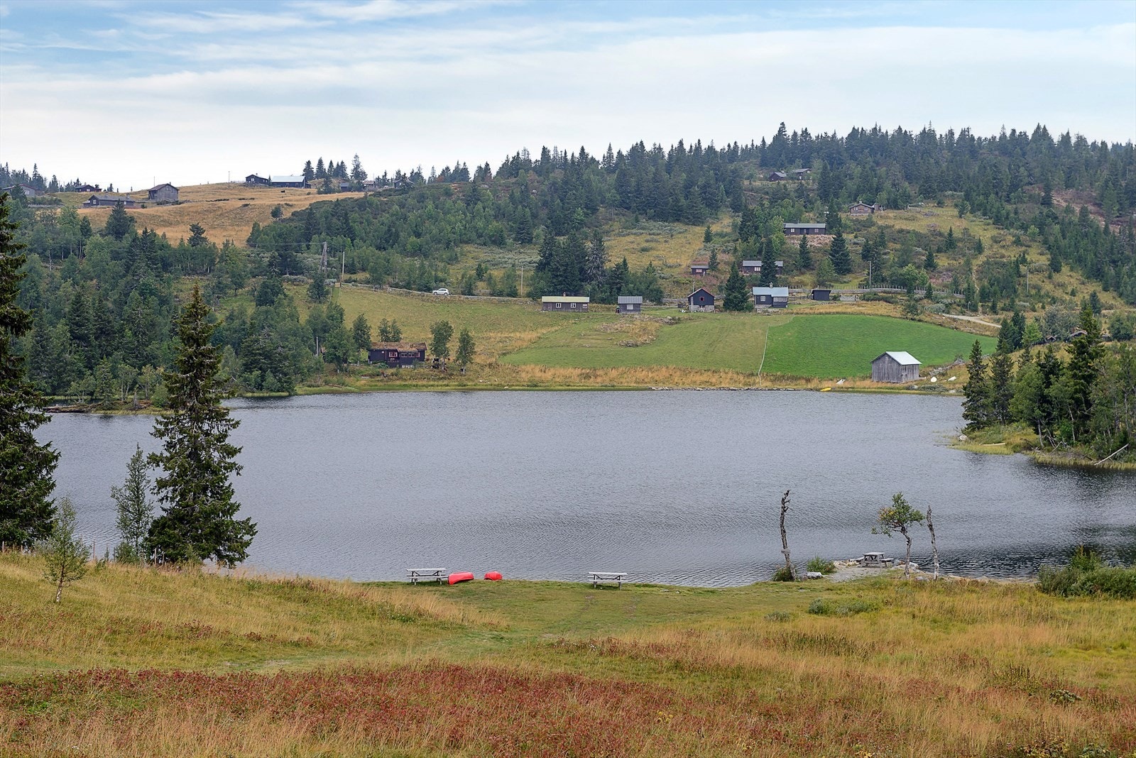 Kort veg til Veslesetervatnet med flott badeplass Galleribilde