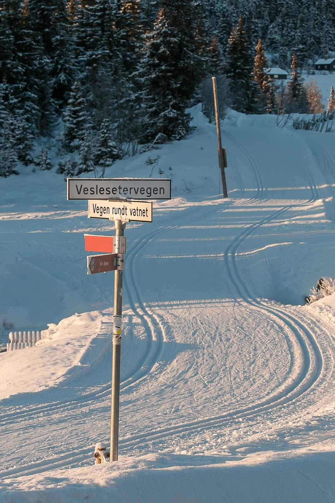 Flotte tur- og rekreasjonsmuligheter i nærområdet Galleribilde