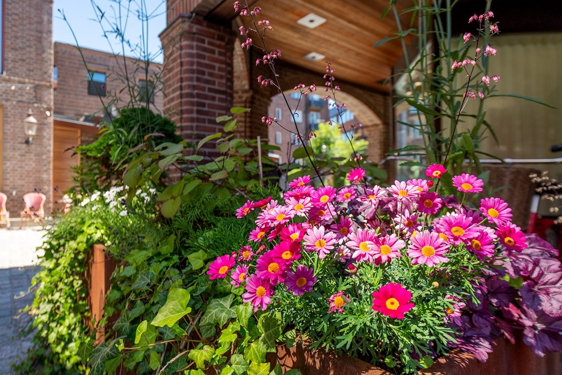 Hovedinngang. Galleribilde