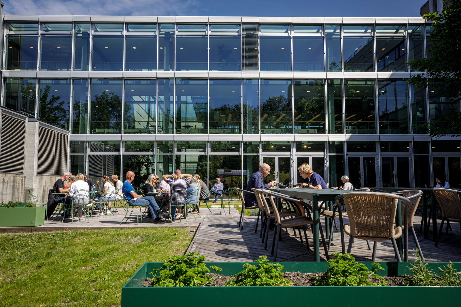 Mange tar med lunsjen ut i solen. Her er også eget drivhus. Galleribilde
