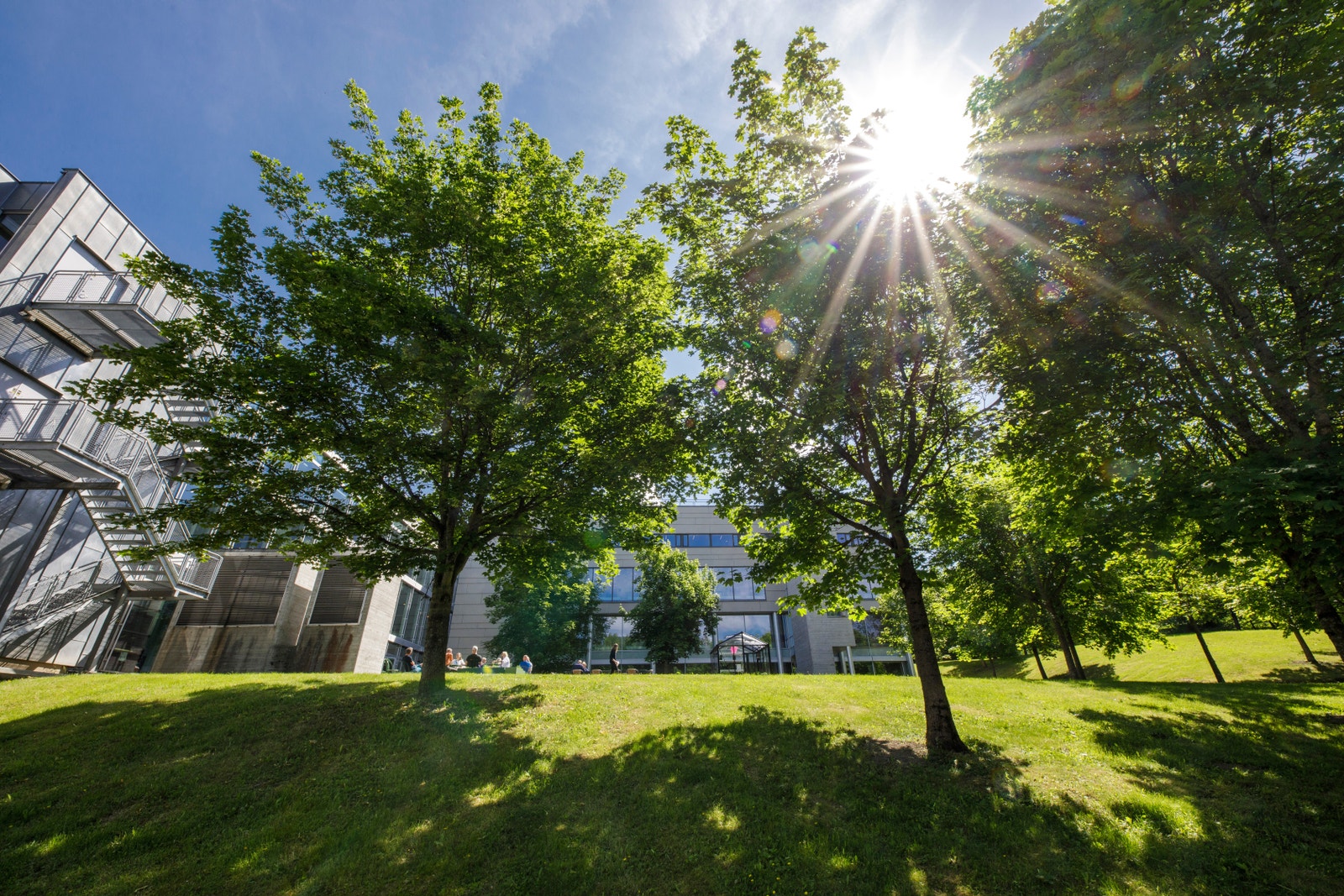Flotte grøntarealer Galleribilde