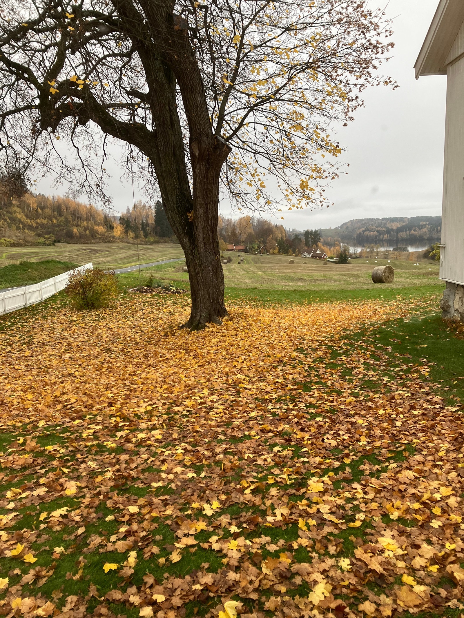 Utsikt fra kjøkken mot vann Galleribilde