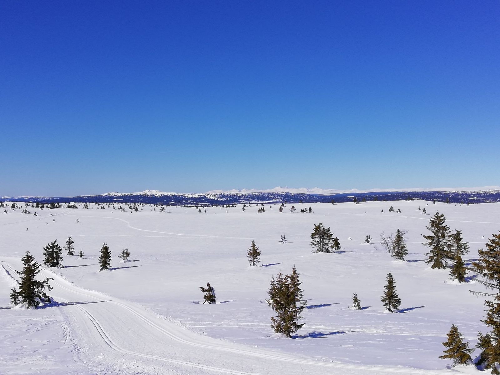 Sjusjøen Galleribilde