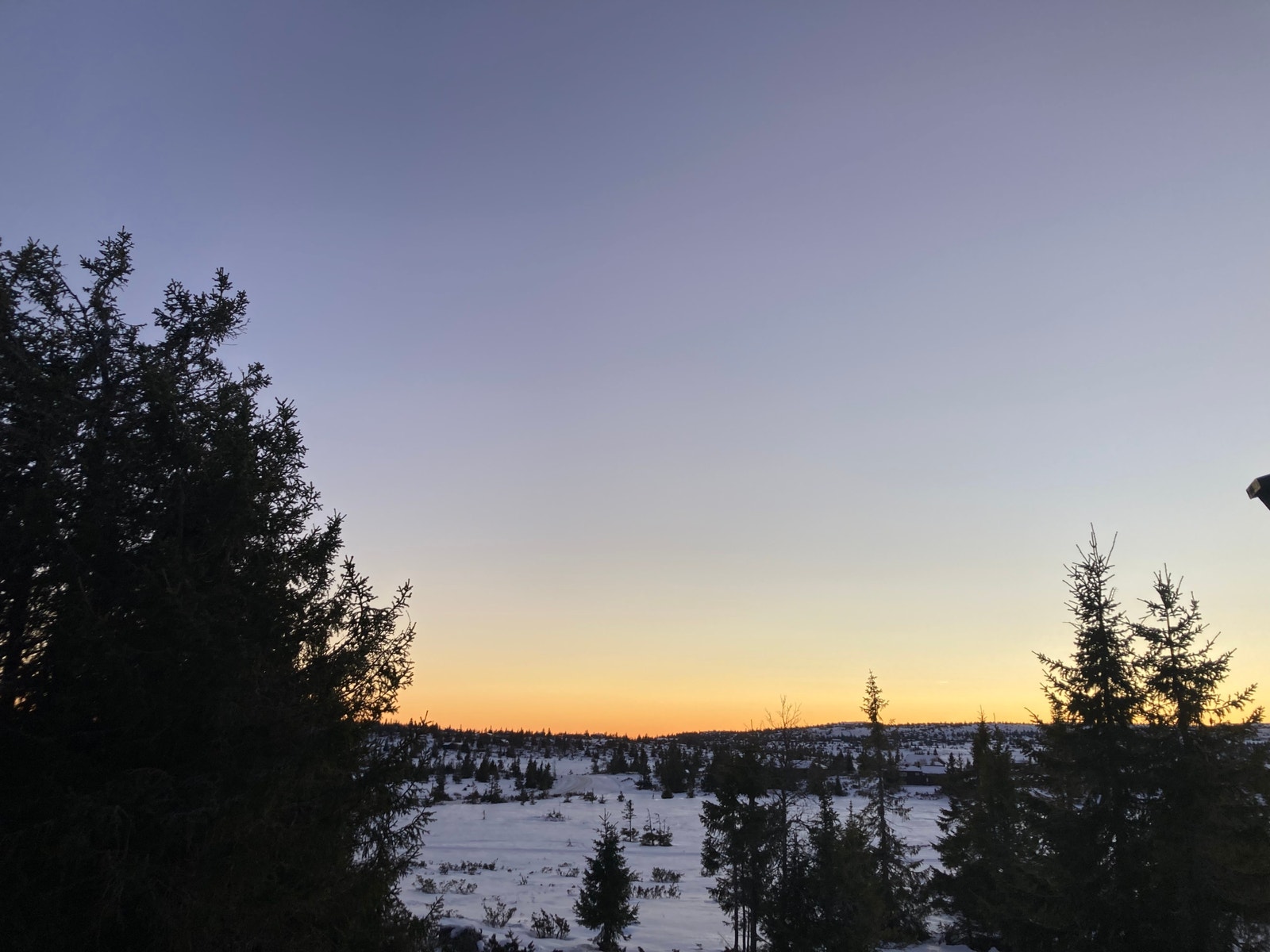 Sjusjøfjellet, Elgåsen Galleribilde