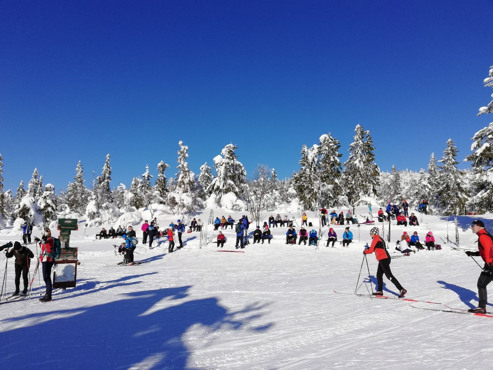 Ski Galleribilde