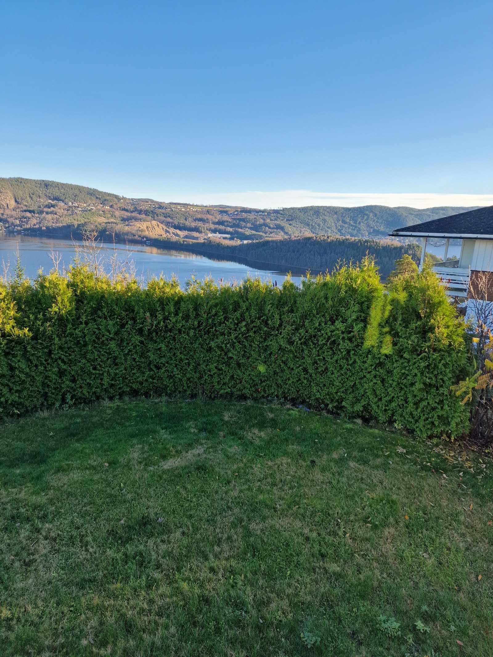Hekk må klippes litt så blir utsikten bedre. Galleribilde