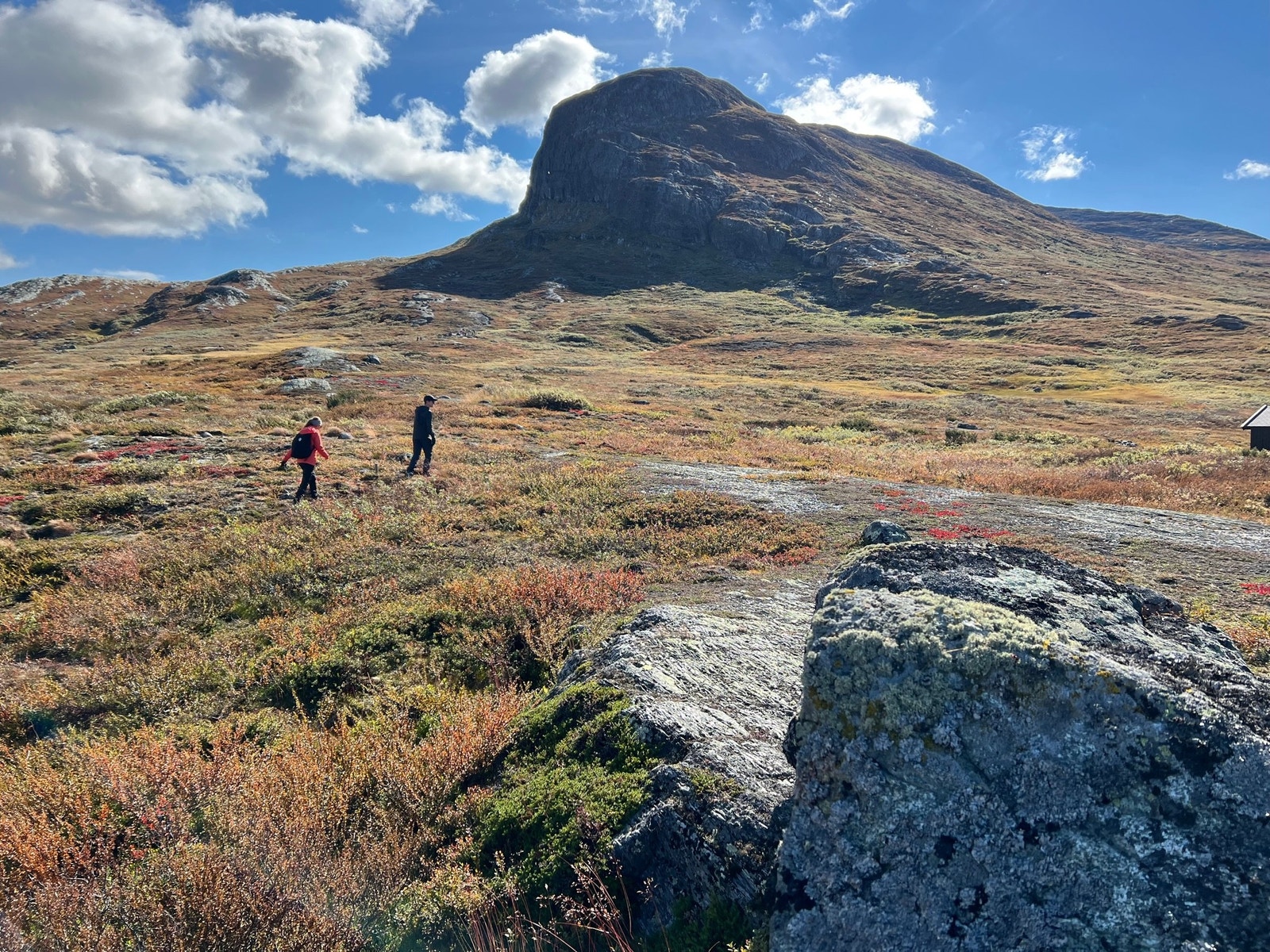 Tur med Bitihorn bak Galleribilde