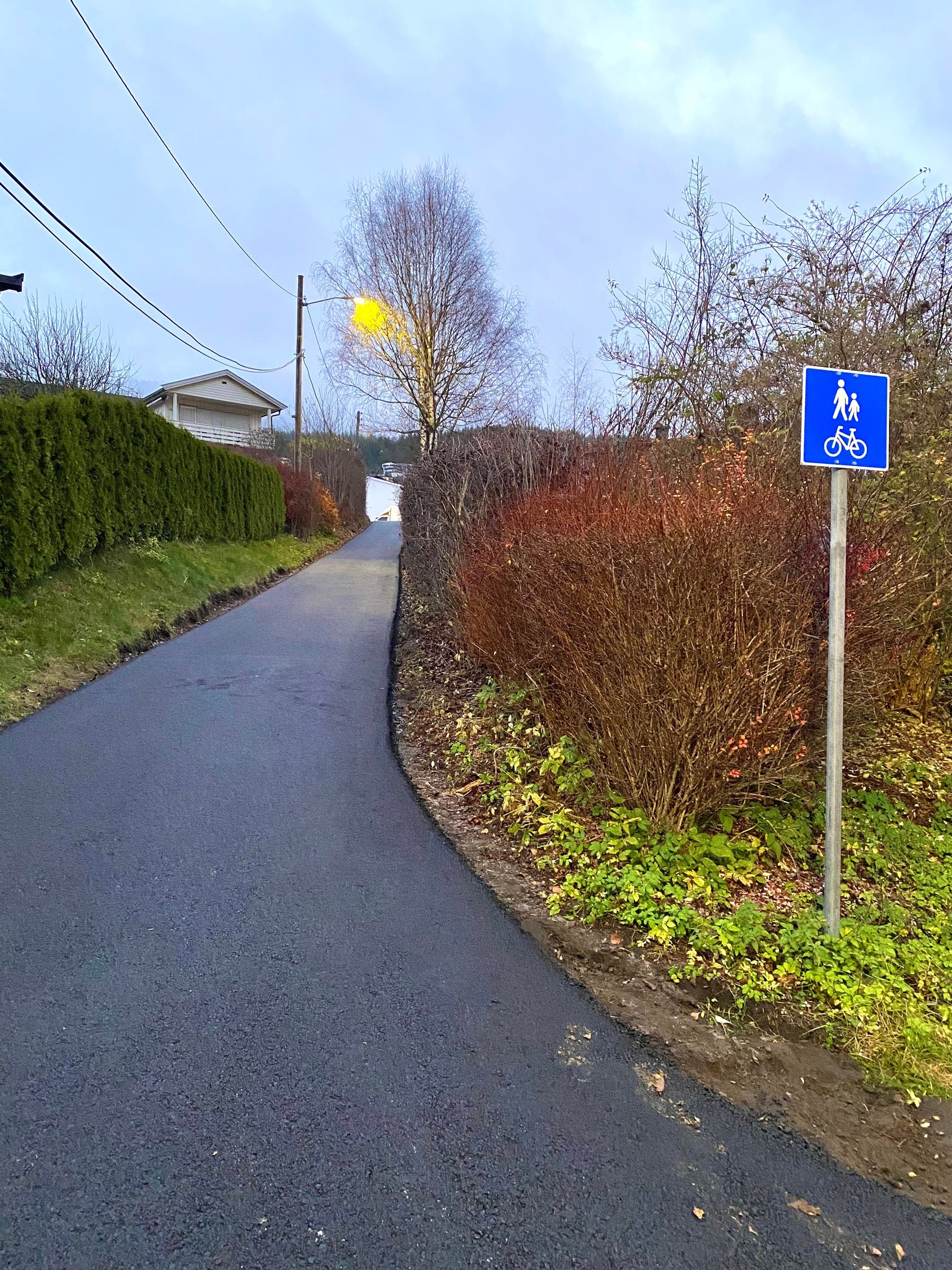 Trygg gangvei til Aronsløkka barneskole Galleribilde