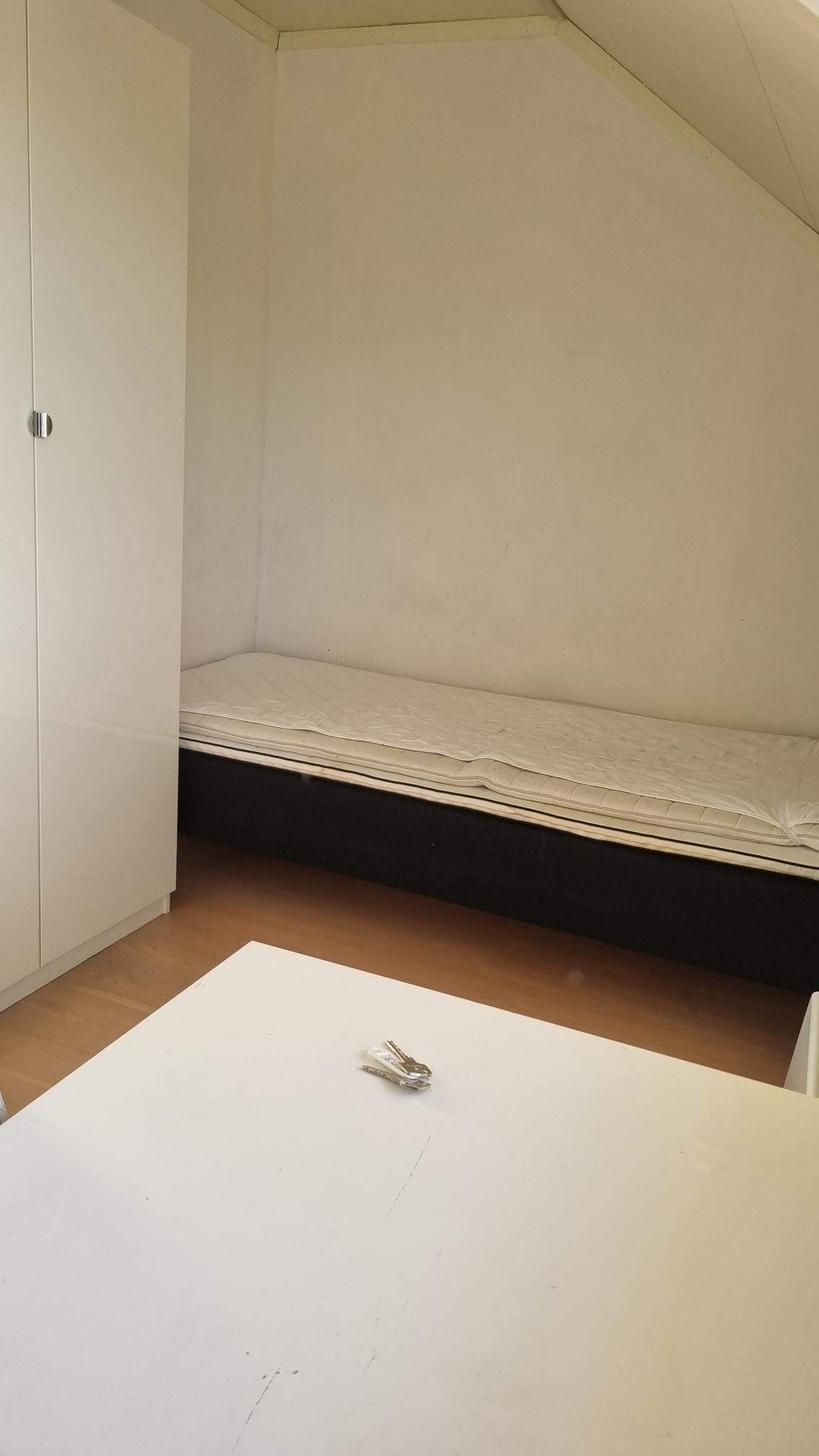 Rom 203 Galleribilde