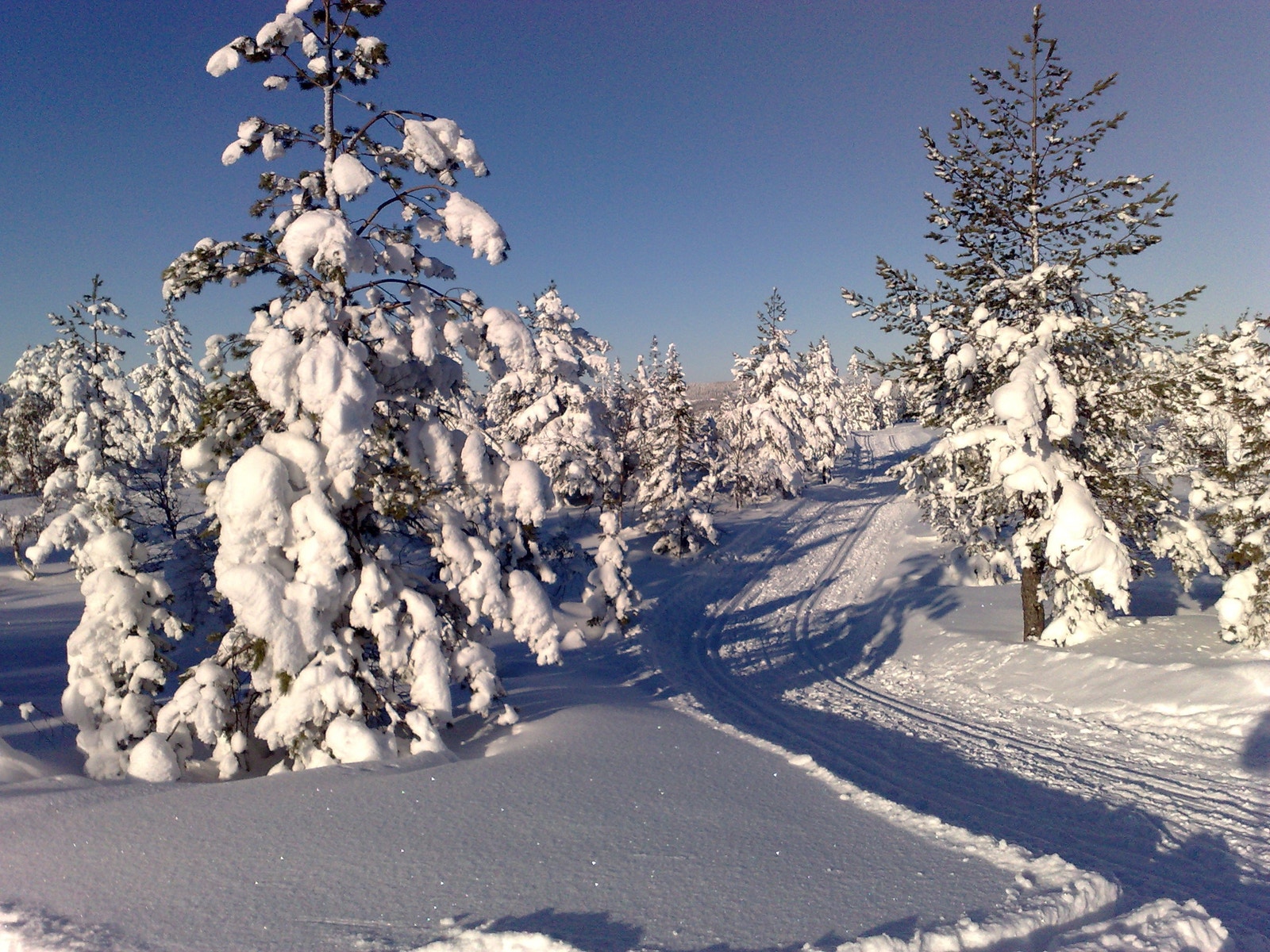Marka med flott turterreng-/lysløype med start rett ved alpinanlegget Galleribilde