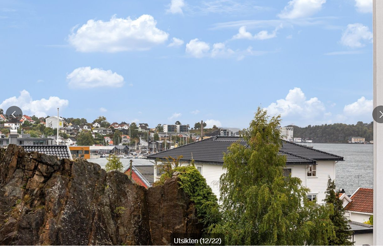 Utsikten fra stue og kjøkken Galleribilde