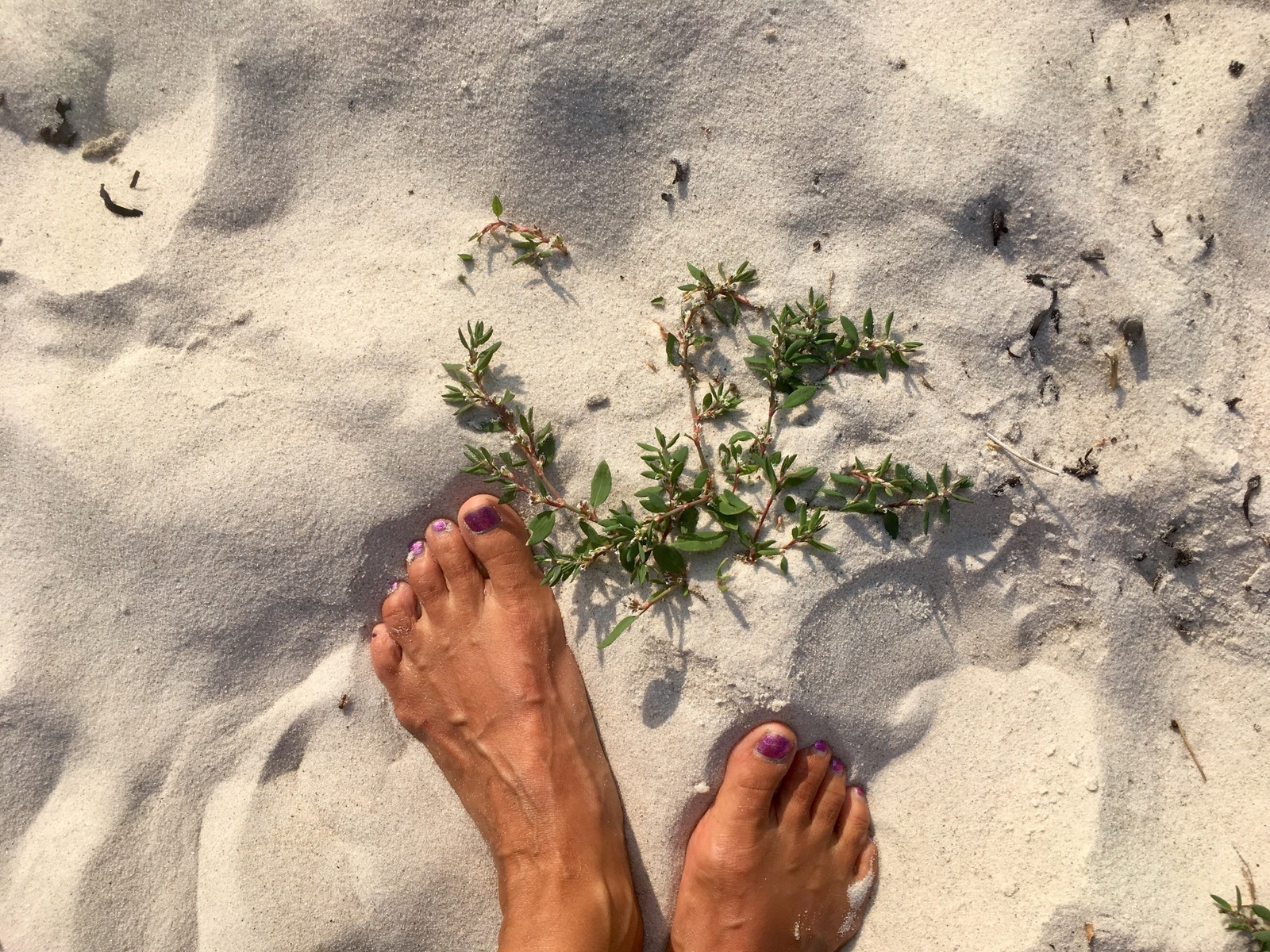 Nærområde - her finner du strender i verdensklasse! Galleribilde