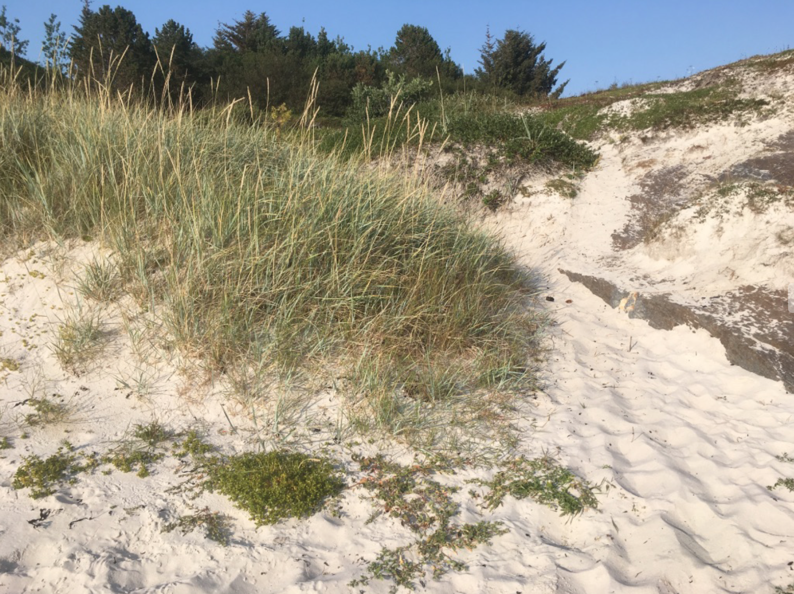 Verdens flotteste strender og klareste vann Galleribilde