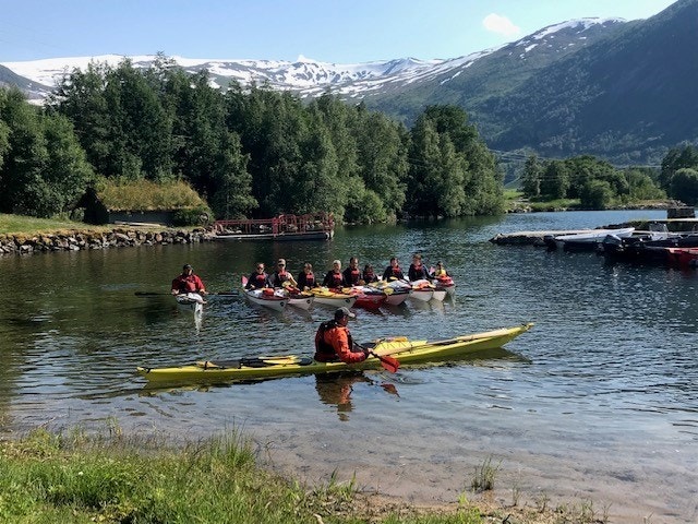 Hestevikja på Kjøsnes Galleribilde