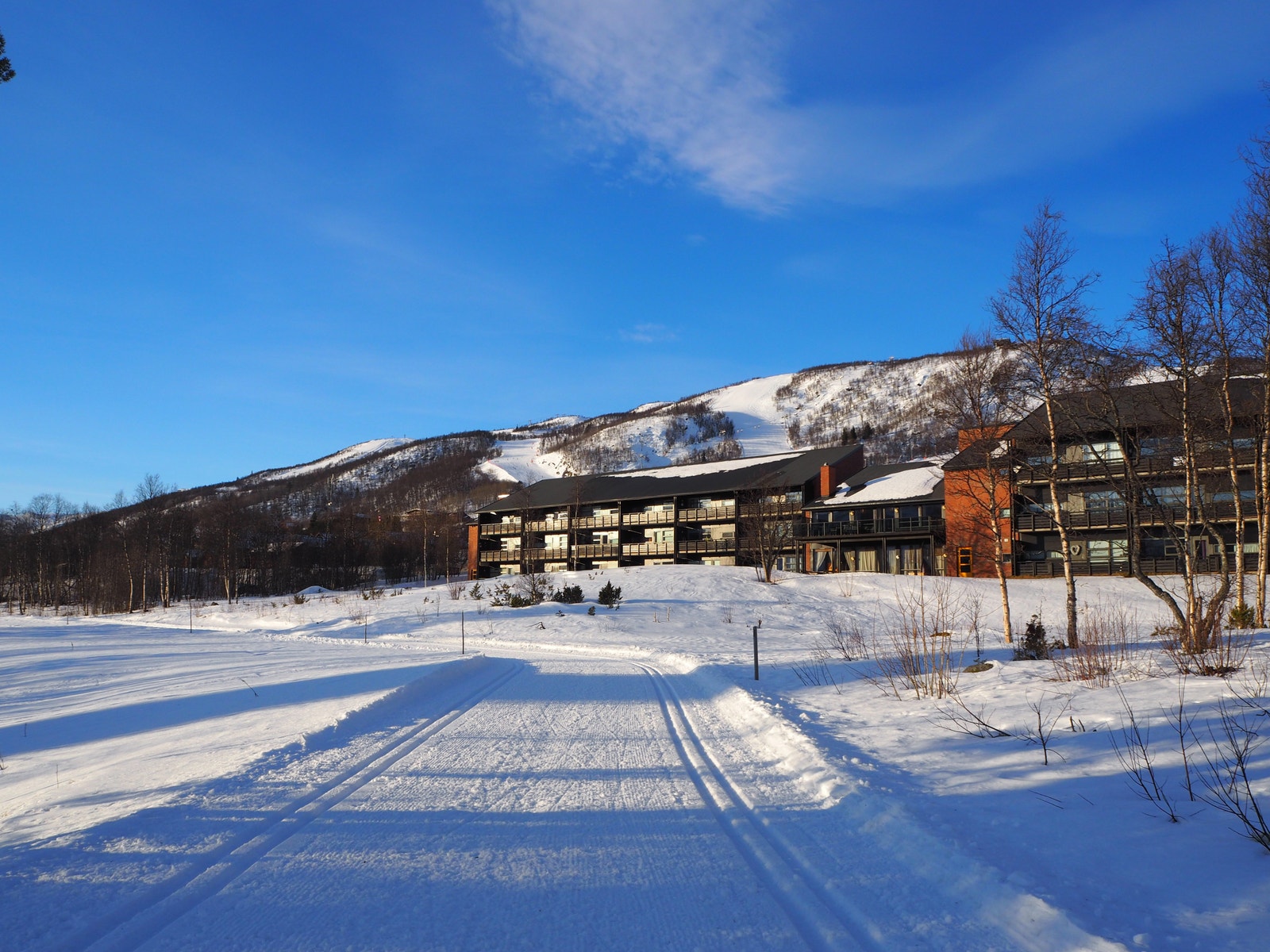 Skiløype like ved Geiloholtet sameie Galleribilde