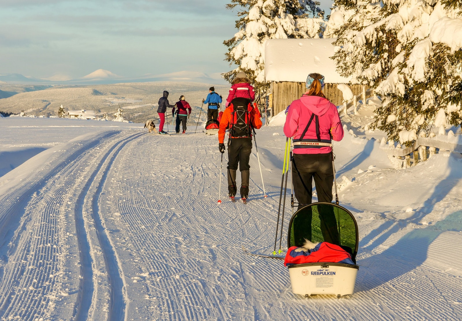 Bilde tatt av skiløypa på Musdalsæter Galleribilde