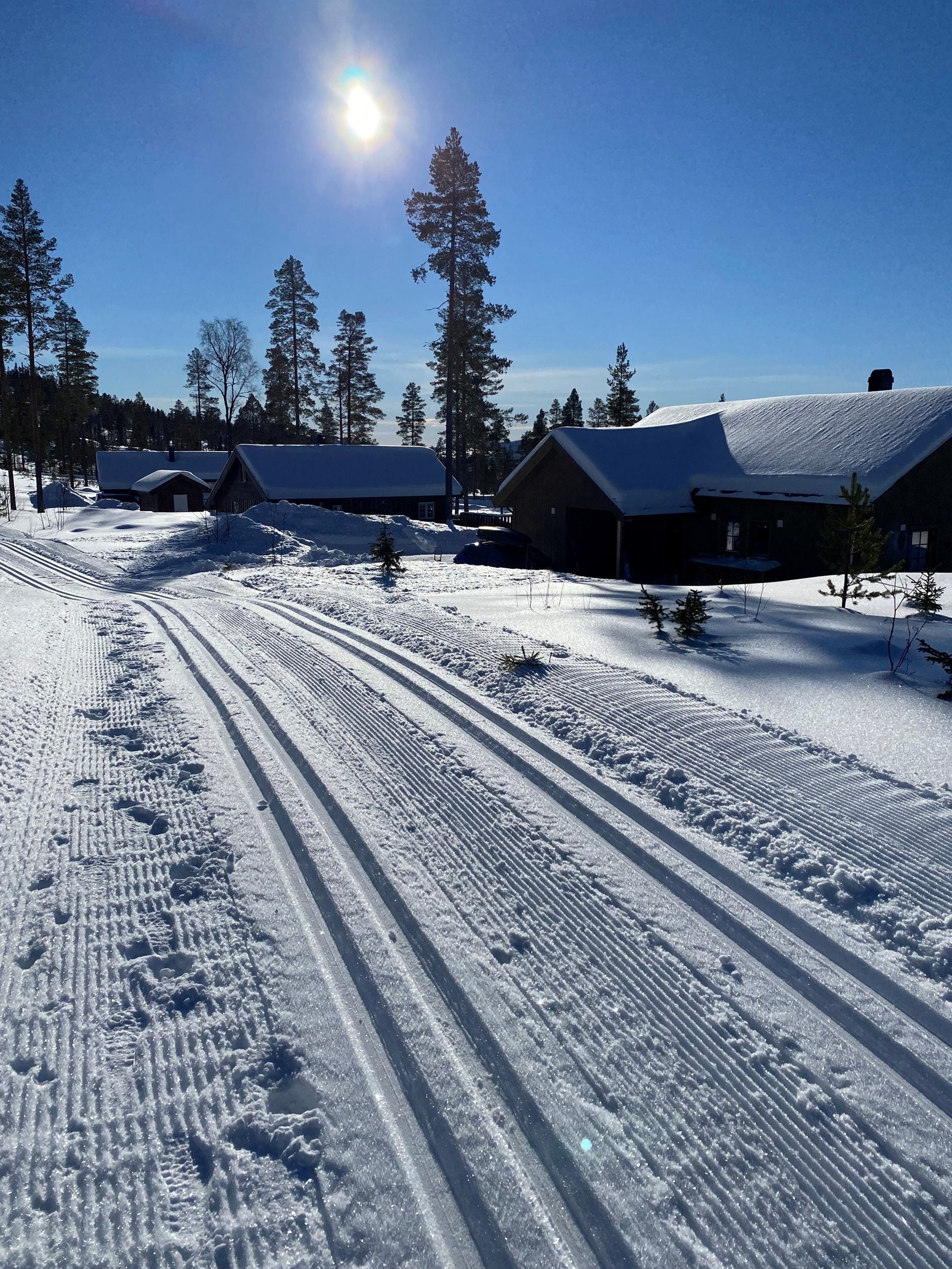 Fulufjellet 80 - skiløype ved hytta. Bilde tatt av eier. Galleribilde