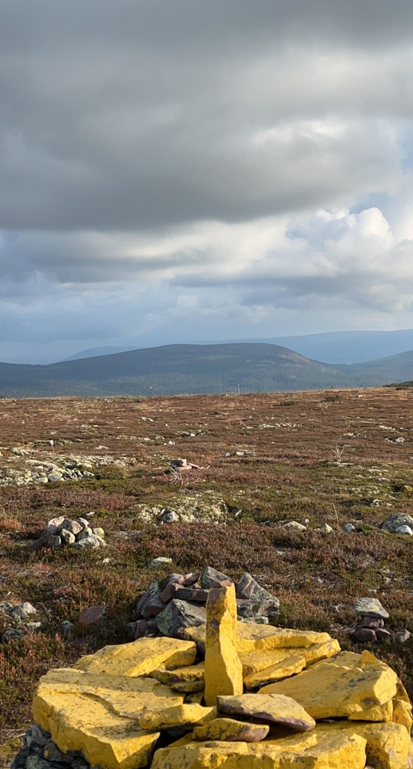 Utsikt fra grensen mot Sverige Galleribilde