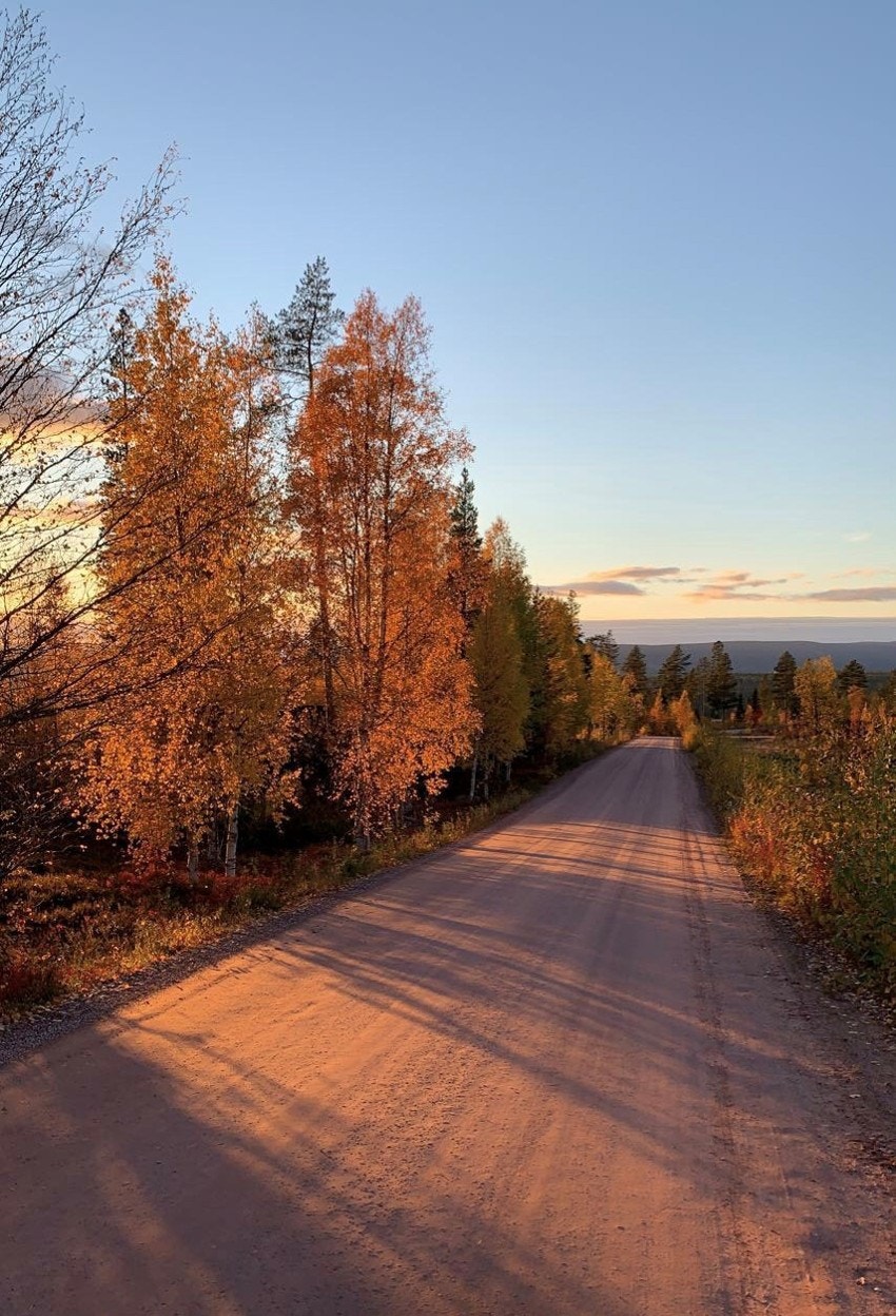 Høststemning Galleribilde