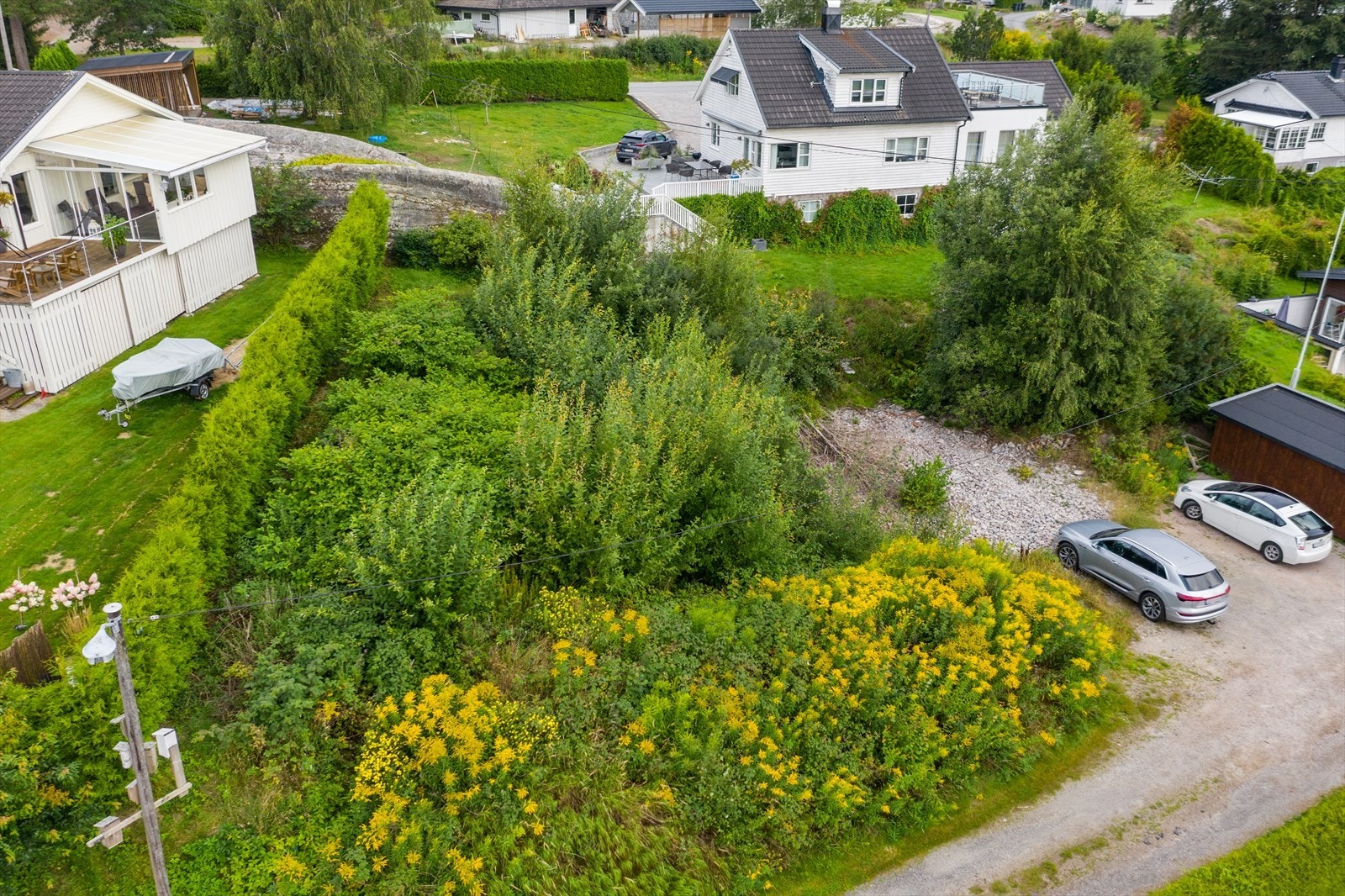 Dels skrånende tomt med grus og tett vegetasjon Galleribilde