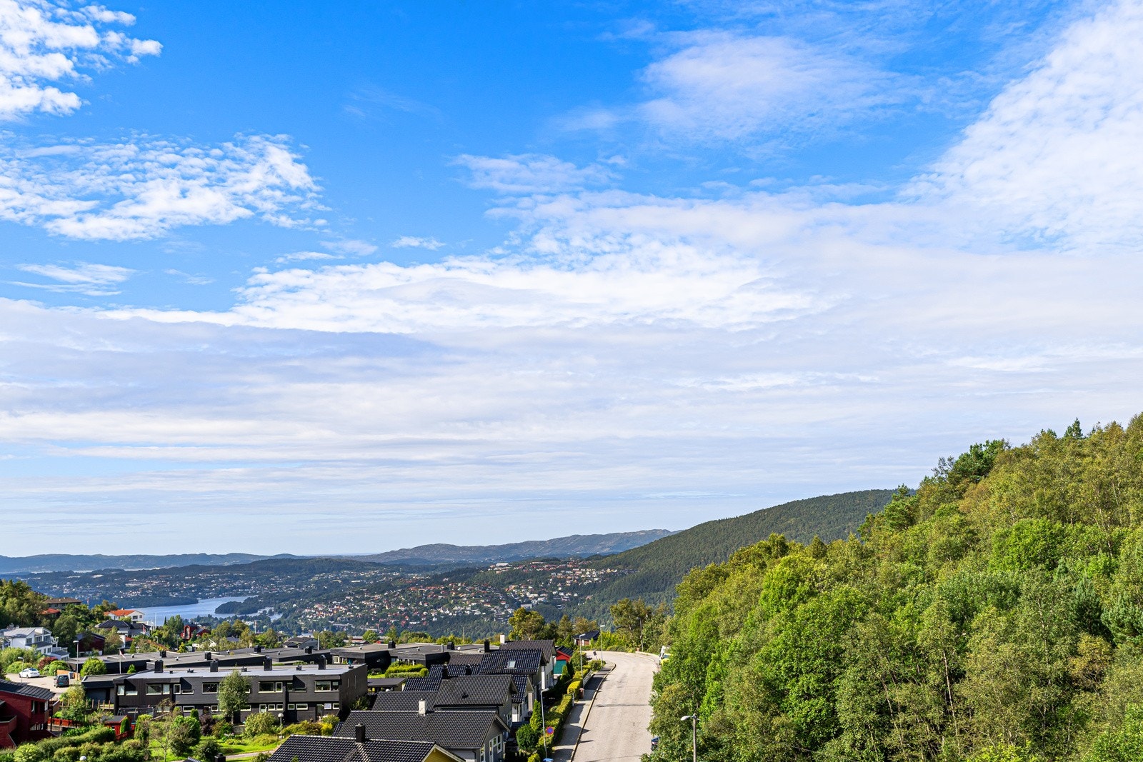 Flott utsikt. Galleribilde