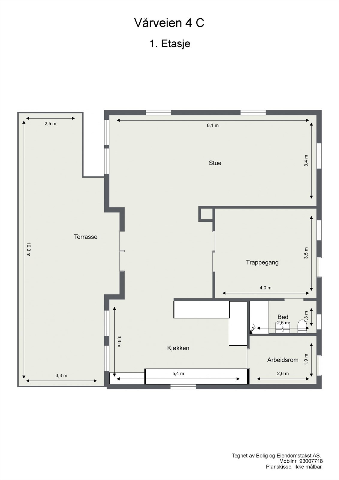 Planskisse 1.etasje Galleribilde