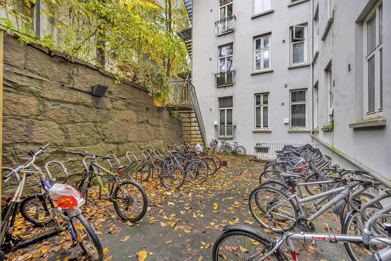 Fra bakgård. Galleribilde
