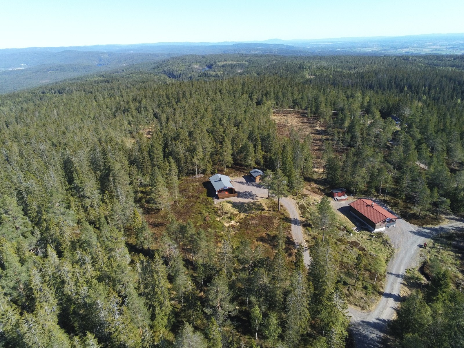 Flotte skogsområder med turstier og skiløyper Galleribilde
