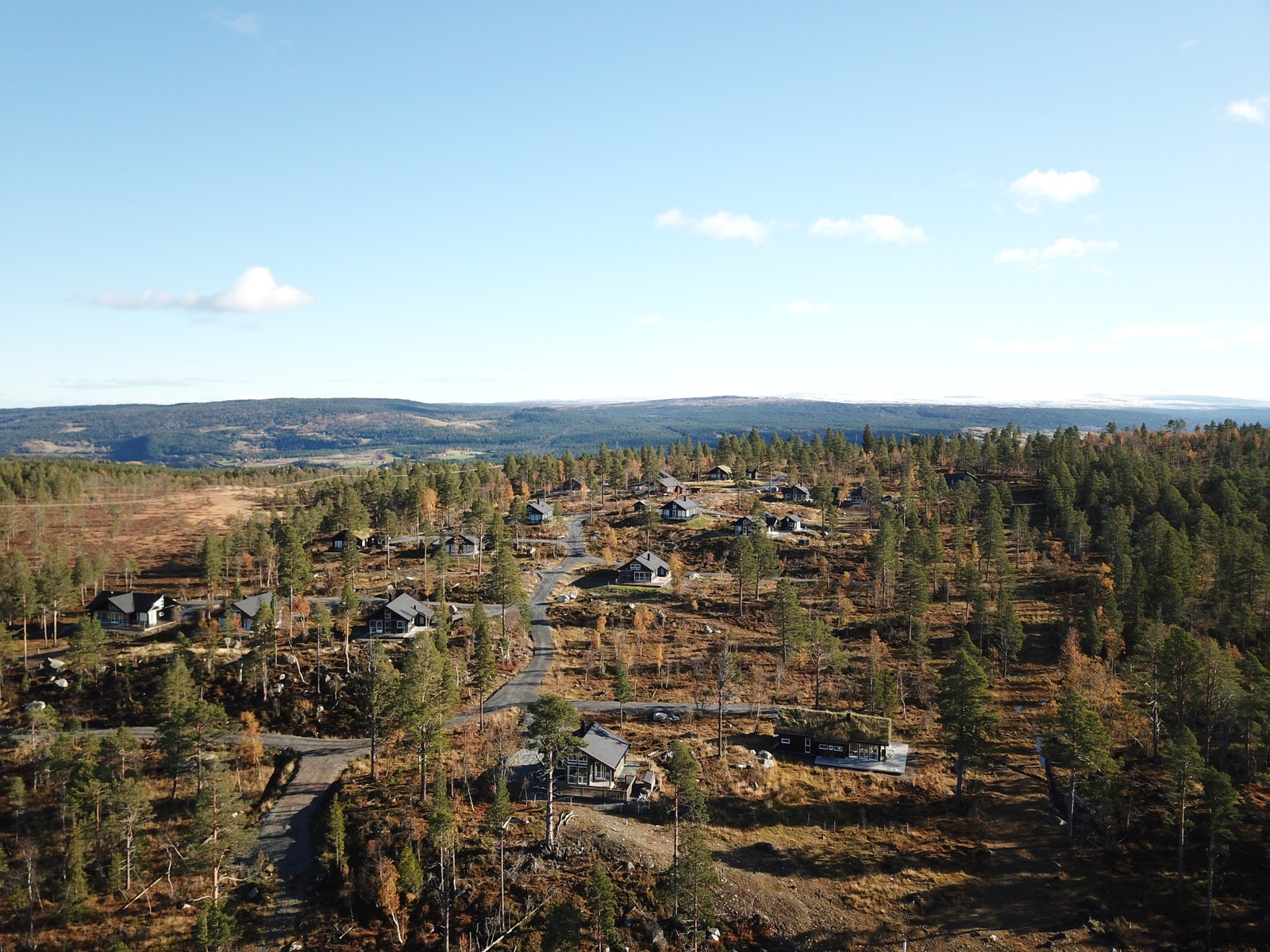 Åsen hyttegrend Galleribilde