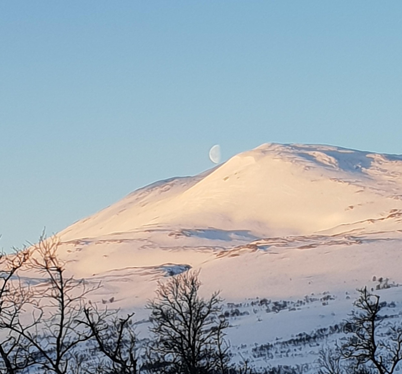 Vinteren er også fantastisk i området! Galleribilde