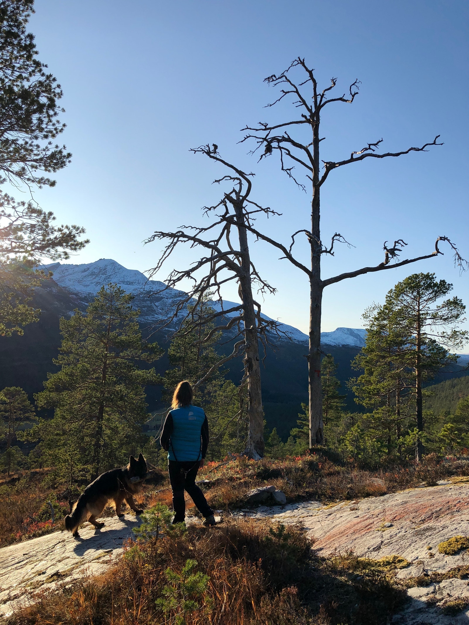 Høsten er ei fin tid Galleribilde