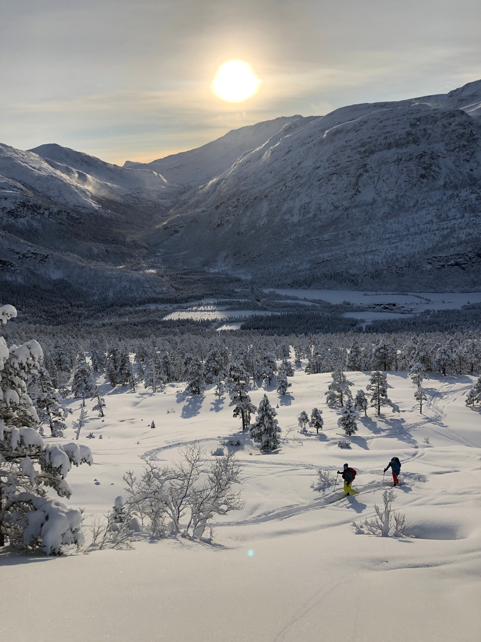 Kårvatn er et topptureldorado, der bonusen er det som nok er Norges fineste li Galleribilde