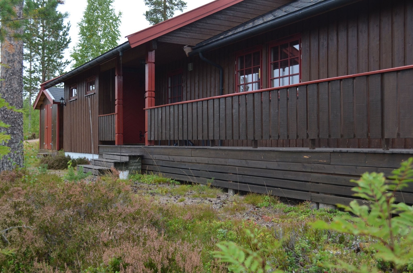 Fulufjellet 43, fra vest Galleribilde