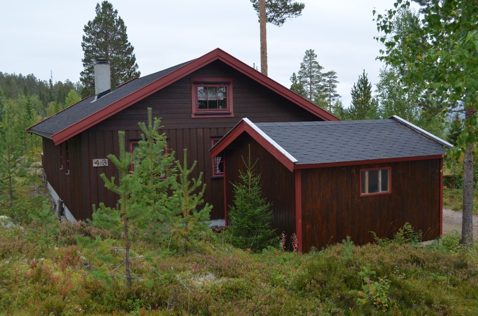 Fulufjellet 43 fra nord Galleribilde