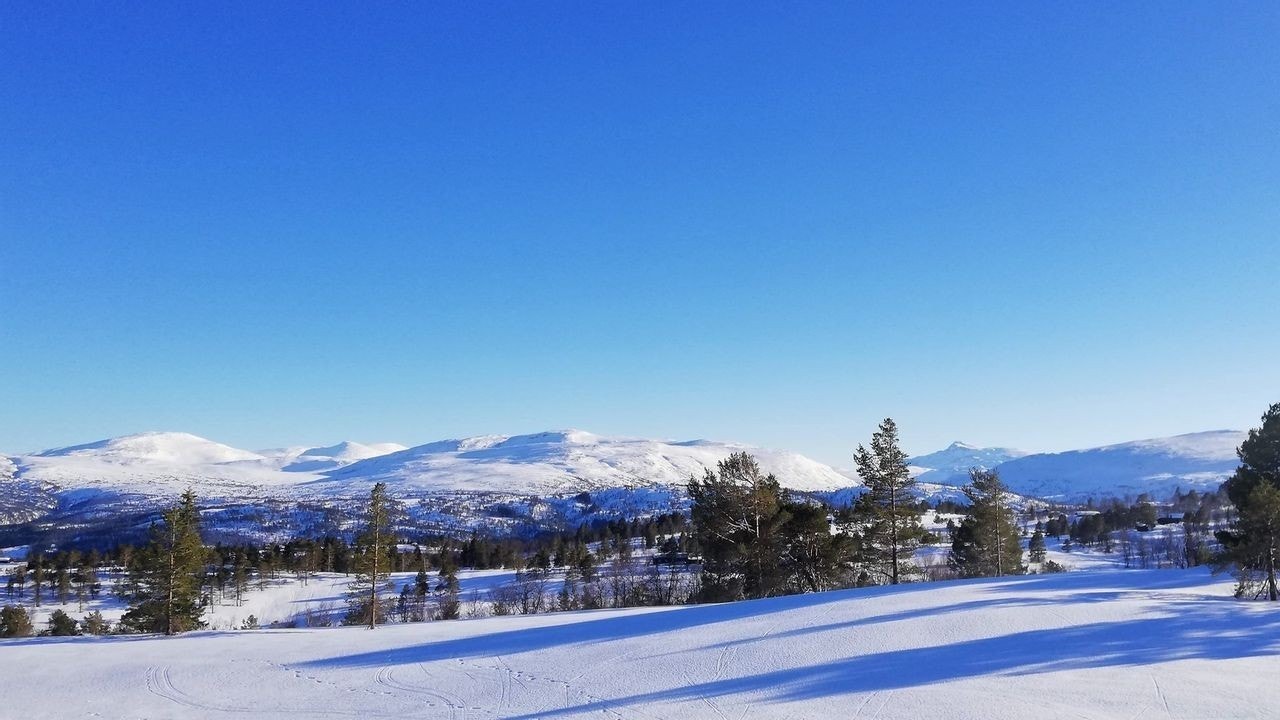 Tørsetmarka har eksepsjonell utsikt mot Trollheimen Galleribilde