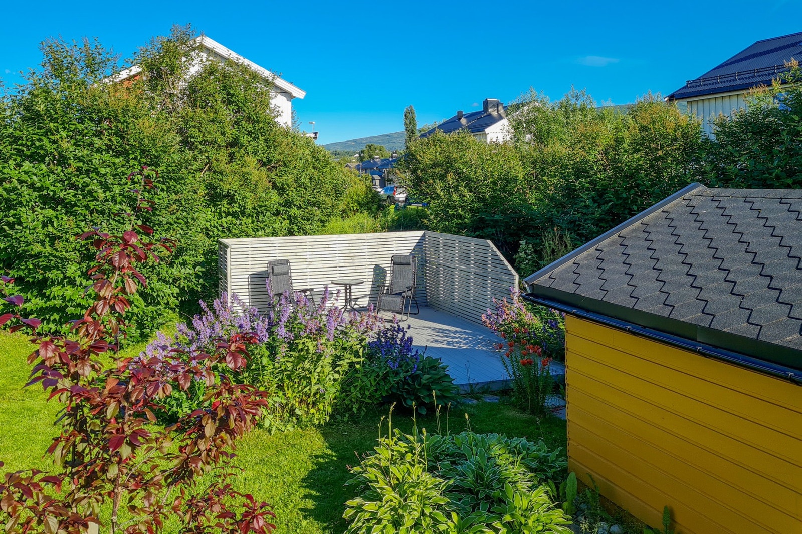 Sommerbilder fra eier Galleribilde